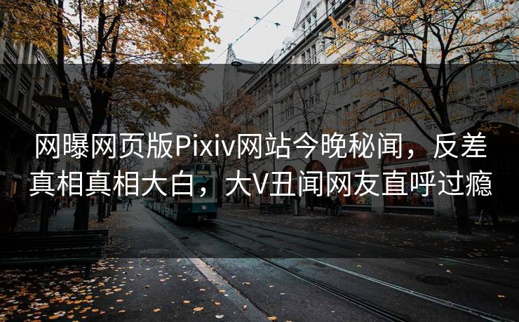 网曝网页版Pixiv网站今晚秘闻，反差真相真相大白，大V丑闻网友直呼过瘾