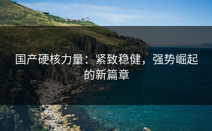 国产硬核力量：紧致稳健，强势崛起的新篇章