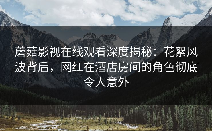蘑菇影视在线观看深度揭秘：花絮风波背后，网红在酒店房间的角色彻底令人意外